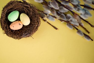 Mutlu Paskalyalar, yuvada yumurtalar ve söğüt ağacı, paskalya arkaplanı. Yüksek kalite fotoğraf