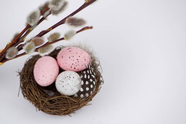 Mutlu Paskalyalar, beyaz arka planda söğüt dalları olan bir yuvadaki yumurtalar. Yüksek kalite fotoğraf