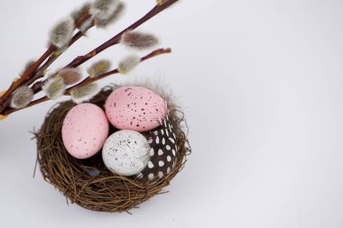 Mutlu Paskalyalar, beyaz arka planda söğüt dalları olan bir yuvadaki yumurtalar. Yüksek kalite fotoğraf