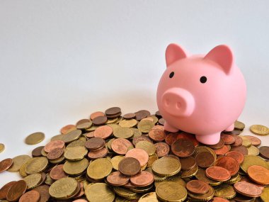 Çekici pembe domuz kumbarası, para biriktirmenin ve yönetmenin özünü sembolize eden önemli miktarda paraların üzerinde duruyor.
