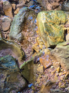 Kaya yüzeyinin karmaşık ve detaylı bir görüntüsü canlı renkler ve büyüleyici doğal desenler sergiliyor.