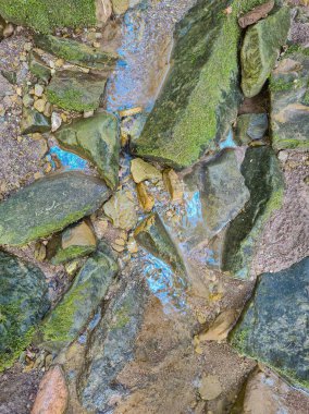 Her biri eşsiz dokular ve güzel ve zengin renkler sergileyen canlı taşlardan oluşan bir koleksiyonun yakın görüntüsü.