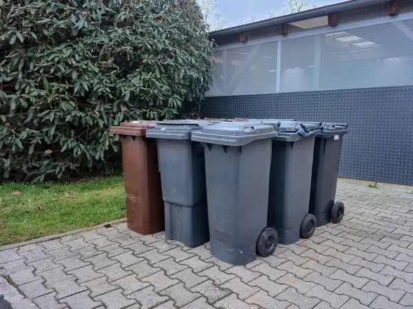 Kahverengi kutular biyolojik atıklar için, gri kutular ise karışık atıklar için. Yeşil alanlar, bir kaldırım ve bir patika var. Tema, ekoloji, atık imhası ve kentsel çevrenin temizliği..