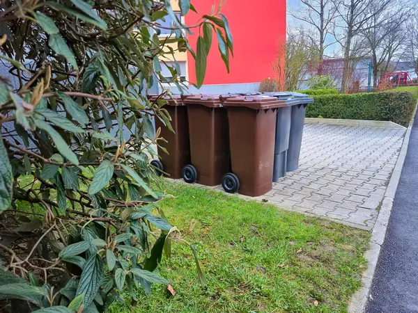 Kahverengi kutular biyolojik atıklar için, gri kutular ise karışık atıklar için. Yeşil alanlar, bir kaldırım ve bir patika var. Tema, ekoloji, atık imhası ve kentsel çevrenin temizliği..