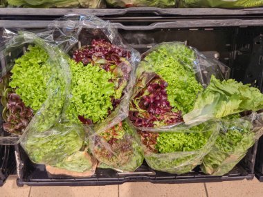 Canlı yeşiller ve taze marulların zengin kırmızıları markette plastik torbalarda açıkça görülebilir.