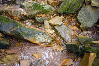 Orman deresi, taşların arasında temiz su, doğal arka plan. Yüksek kalite fotoğraf