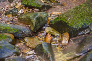 Orman deresi, taşların arasında temiz su, doğal arka plan. Yüksek kalite fotoğraf