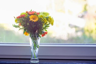 Vazodaki bahçeden renkli çiçek buketi. Yüksek kalite fotoğraf