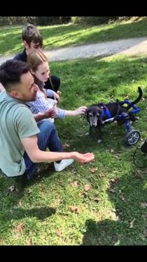 Arkadaşça çekilen ve dışarıdaki tekerlekli sandalyedeki neşeli bir köpekle etkileşimden zevk alan çok iç açıcı bir an.