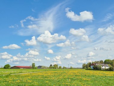 Mavi gökyüzü ve bulutlu yeşil çayırlar. Yüksek kalite fotoğraf