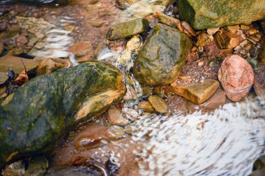 Orman deresi, taşların arasında temiz su, doğal arka plan. Yüksek kalite fotoğraf