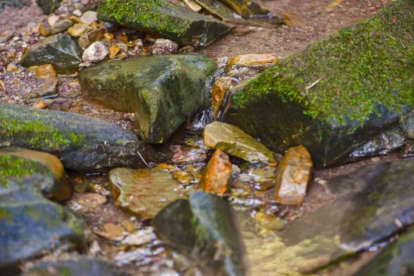 Orman deresi, taşların arasında temiz su, doğal arka plan. Yüksek kalite fotoğraf