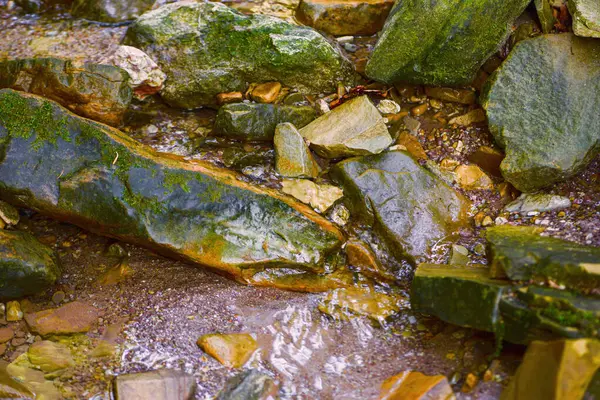 Orman deresi, taşların arasında temiz su, doğal arka plan. Yüksek kalite fotoğraf