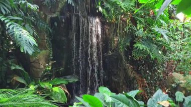 Serin ve sakin bir şelale yemyeşil bir ormanda yuva yapmış ve gerçekten huzurlu bir atmosfer yaratmış.