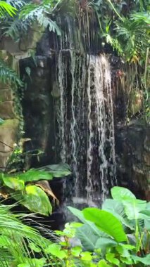 Sersemletici ve güzel bir şelale canlı, gür tropikal yaprakların arasına yerleşir ve dingin bir vaha yaratır.