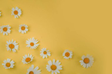 Sarı parlak arka plan, papatyalar ve metin için yer. Yüksek kalite fotoğraf