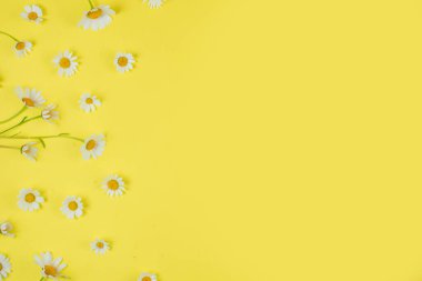 Sarı arka planda papatyalar. Mesajın için yer var. Yüksek kalite fotoğraf