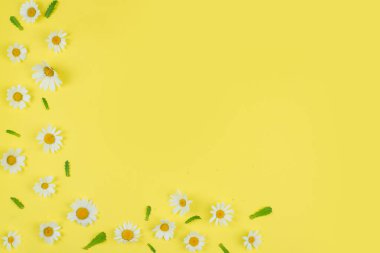 Papatya çiçekleri, sarı arka planda papatya çiçekleri, üst manzara, kopyalama alanı. Beyaz papatyaların yaratıcı düzeni, yaz ve sadelik kavramı. Yüksek kalite fotoğraf