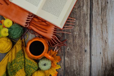 Sonbahar atmosferinin tadını çıkarın. Sıcak bir içecekle, ipliğe sarılmış, mevsimlik dekorasyonların ortasında güzel bir kitap okuyor.