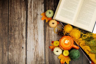 Balkabaklarıyla sıcak bir sonbahar sahnesi, renkli iplikler, mevsimsel ilham ve samimi titreşimler için davetkar bir kitap.