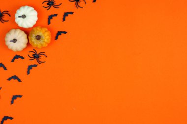 Canlı turuncu bir zemin üzerine kurulmuş balkabakları ve ürkütücü yarasaların yer aldığı bayram dekorasyonları.