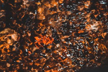 Reflections in the water, a stone bottom in the lake, for the background a lot of glare from the flash on the water