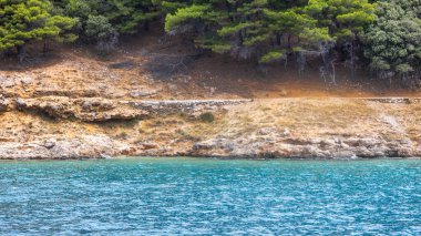 Kayalık yapının yanındaki denizin üzerinde asılmış kozalaklı ağaçlar, Mavi deniz ve kayalar, Kızıl Deniz Burnu