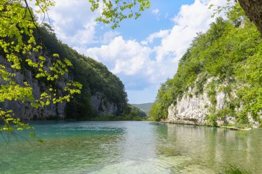 Kayalar ve yeşil ağaçlarla çevrili güzel bir dağ gölü manzarası, yaz manzarası.