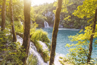 Güzel sonbahar manzarası. Sonbaharda şelalenin manzarası. Sonbahar renklerinde şelale. Plitvice gölleri, Hırvatistan