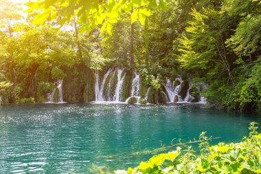 Parktaki şelaleler, göl kenarındaki güzel yaz manzaraları ve şelaleler, Plitvice Gölleri, Hırvatistan