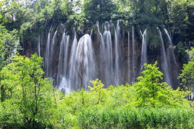 Parktaki şelaleler, göl kenarındaki güzel yaz manzaraları ve şelaleler, Plitvice Gölleri, Hırvatistan