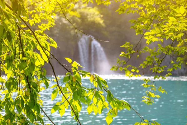 Yaz manzarası, şelale manzarası ve ağaçların arasından mavi su.