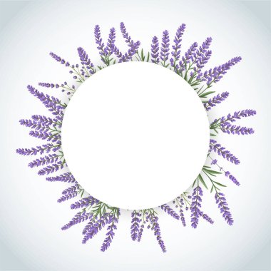 Zarif lavanta çiçeklerinden yapılmış güzel bir daire var saf beyaz arkaplana kurulmuş, hoş bir kontrast oluşturuyor.
