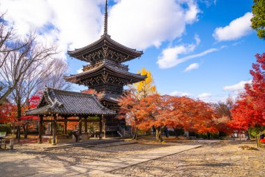 Kyoto, Japonya 'daki Shinnyodo Tapınağı' nda sonbaharda kırmızı yaprak.
