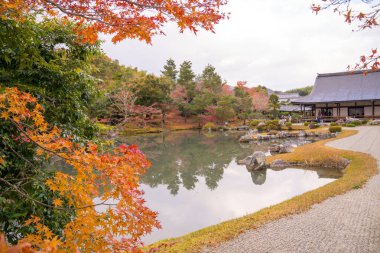 Japonya, Kyoto 'daki Tenryu-ji Tapınağı Bahçesi