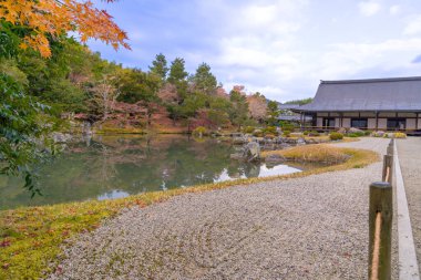 Japonya, Kyoto 'daki Tenryu-ji Tapınağı Bahçesi