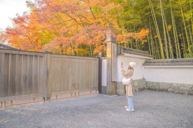 Bir kadın Japonya 'nın Kyoto, Arashiyama kentindeki Danrin ji tapınağında sonbahar yapraklarını yakalıyor. Sahnede canlı sonbahar renkleri ve bambu korulukları var. Bu tarihi bölgenin huzur veren güzelliğini vurguluyorlar..