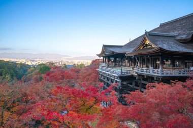 Güzel sonbahar manzarası. Japonya 'nın Kyoto şehrinde sonbahar sezonunda Kiyomizu-dera Tapınağı. Kiyomizu-dera Tapınağı, Kyoto 'nun ünlü şehir simgesi ve seyahat merkezidir..