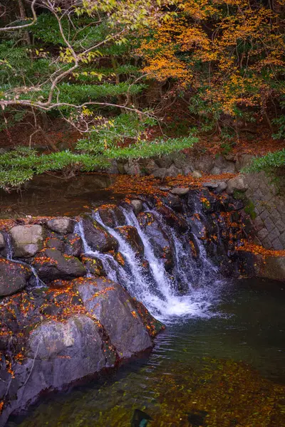 Sonbahar mevsiminde, Osaka, Japonya 'daki Minoo Parkı' ndaki Minoo şelalesine giderken yol boyunca manzara.