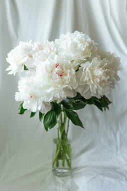 Bouquet of white peonies with soft focus in glass vase on a neutral textile background, spring, easter, mothers or womans day greeting card