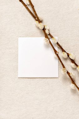 Aesthetic elegant minimal spring greeting card, invitation or branding template, blank paper sheet and pussy willow branches on neutral beige background, top view, copy space