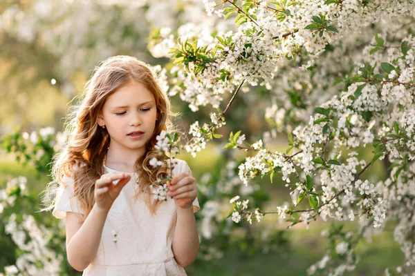 Beautiful Girl Standing Spring Blooming Cherry Blossom Garden Holding Flowers — Stock Photo, Image