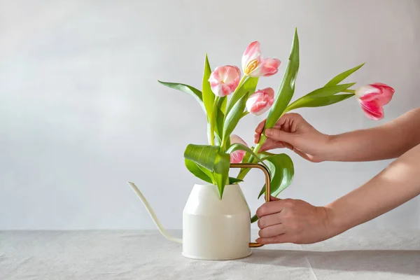 Kadınların Elleri Çiçek Lale Buketi Bahar Dekorasyonu Yavaş Yaşam Konsepti — Stok fotoğraf