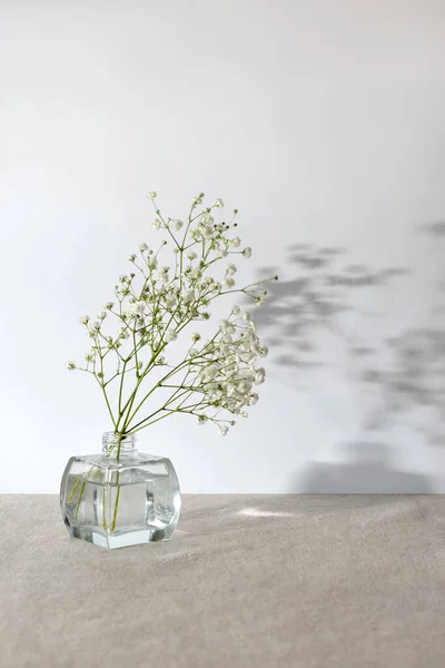 テーブルの上のガラス花瓶の白いジプシーの花花束 白い壁の背景の日光の影 ミニマルな審美的な静物画構成 コピースペース — ストック写真