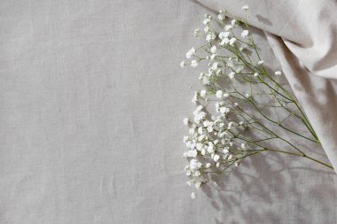 Minimalist doğal tekstil bej arkaplan ve Gypila çiçekleri, kopyalama alanı
