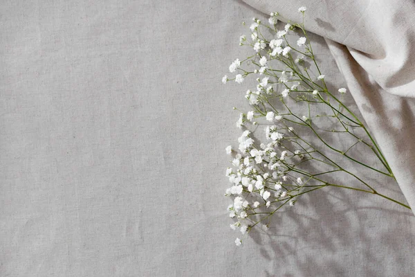 Minimaliste Textile Naturel Fond Beige Avec Des Fleurs Gypsophila Espace — Photo