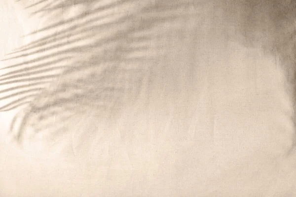 Minimalista Esztétikai Természetes Nyári Háttér Elmosódott Napfény Árnyéka Trópusi Pálmalevelek — Stock Fotó