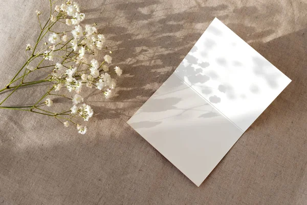 Modelo Cartão Papel Saudação Branco Com Sombras Luz Solar Florais — Fotografia de Stock