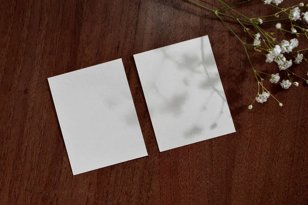 Cartões Folha Papel Branco Com Sombras Florais Fundo Superfície Mesa — Fotografia de Stock