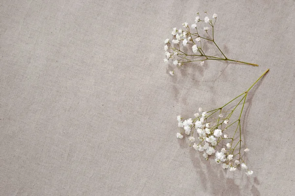 Fond Neutre Minimaliste Fleurs Gypsophile Sur Tissu Texture Lin Beige — Photo